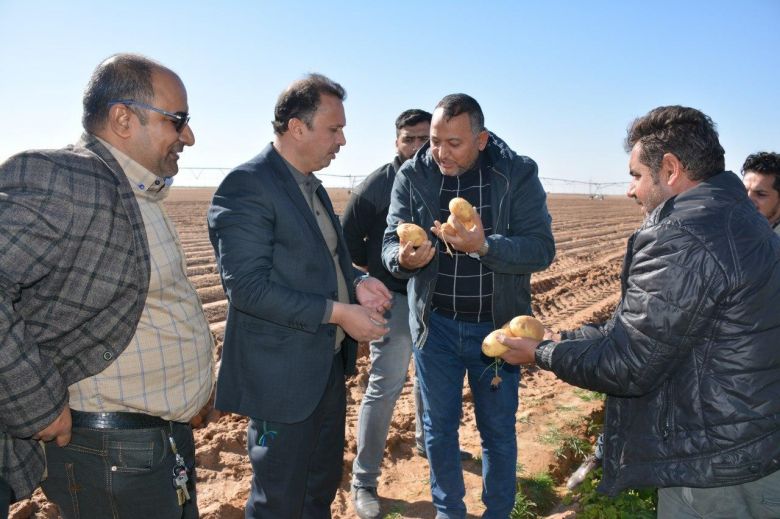 بعد مساهمتها برفد السوق المحلية بالمحاصيل الجيدة.. زراعة كربلاء تشيد بالمشاريع الزراعية للعتبتين الحسينية والعباسية