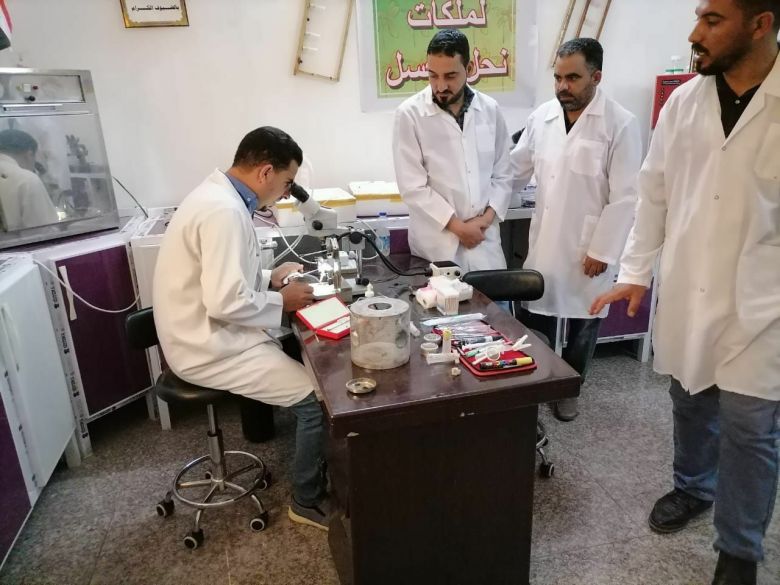 زراعة كربلاء تجري فحوصات مبكرة لآفات النحل في المحافظة