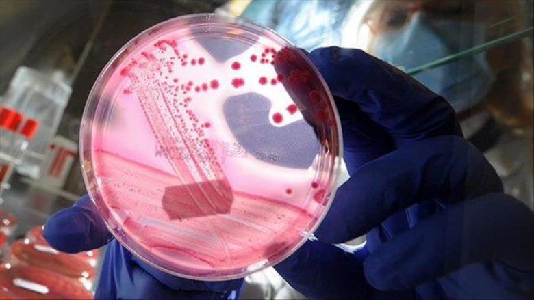 اجراءات وقائية تتخذ لمنع انتشار الحمى النزفية في كربلاء