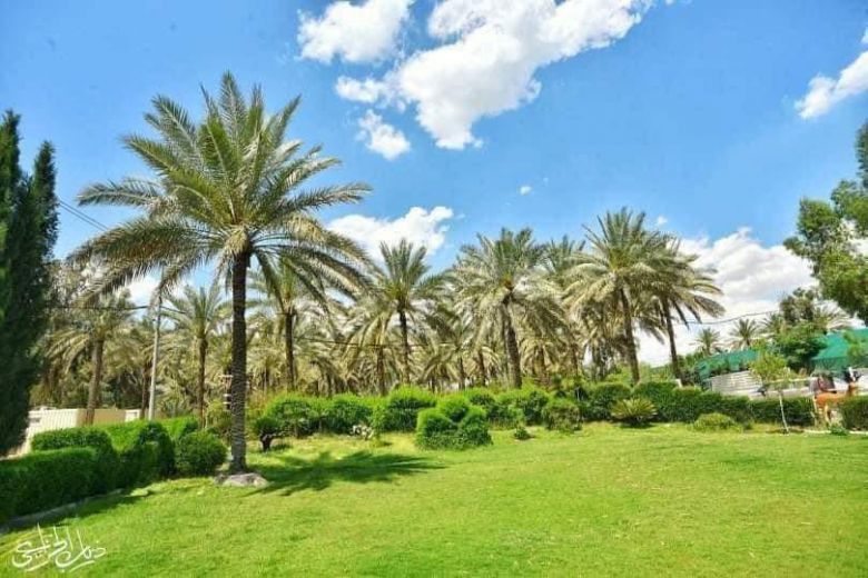 صور مشرقة تتحدث عن قصة نجاح في كربلاء