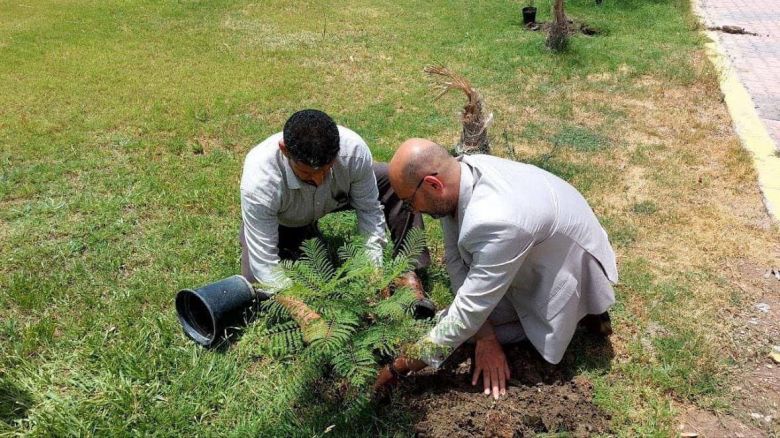 استمرار حملات  التشجير تنفيداً لمتطلبات المبادرة الوطنية لدعم الطاقات وتقليل انبعاث الغازات