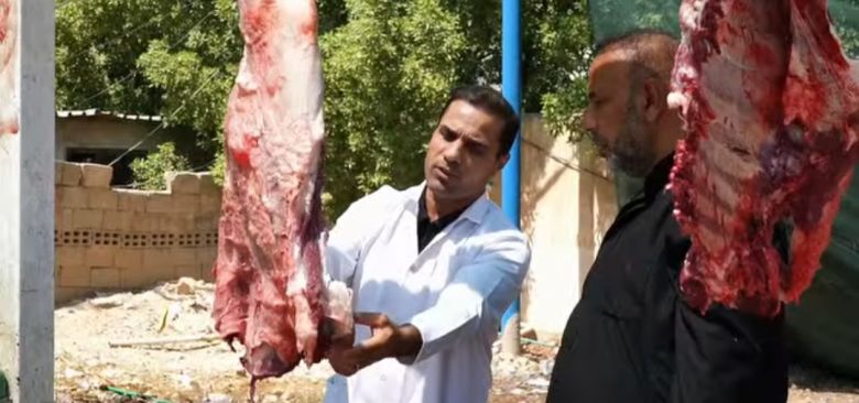 تنويه لأصحاب المواكب الحسينية حول مواقع جزر المواشي في كربلاء