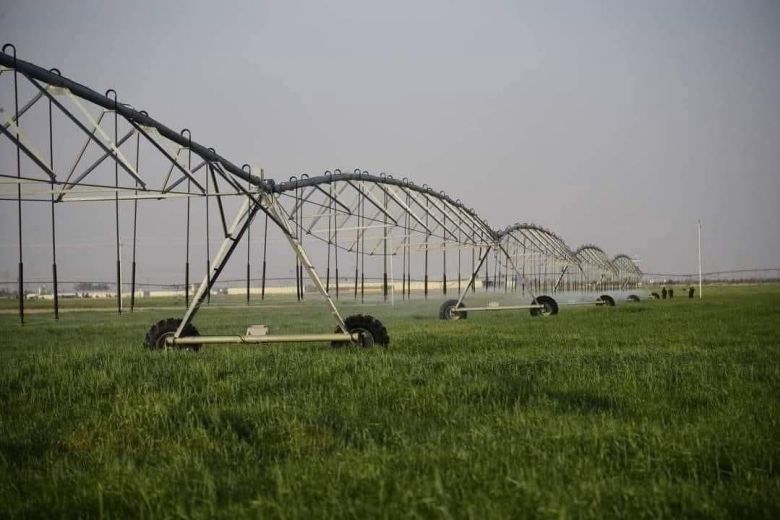 زراعة كربلاء تهيئ ما يقارب أكثر من 3000  الالاف مرشة استعداداً لموسم الحنطة 2025 – 2026