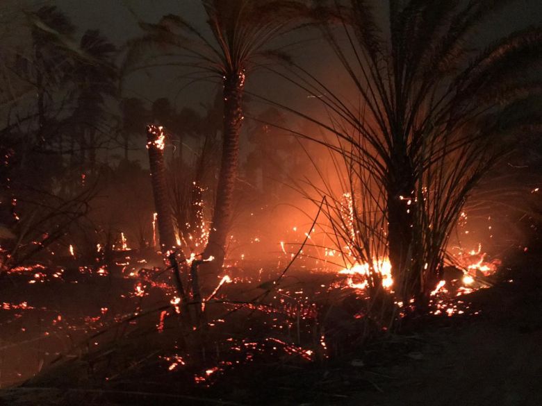 العواصف الترابية تتسبب باندلاع سلسلة حرائق في كربلاء والدفاع المدني يسيطر عليها