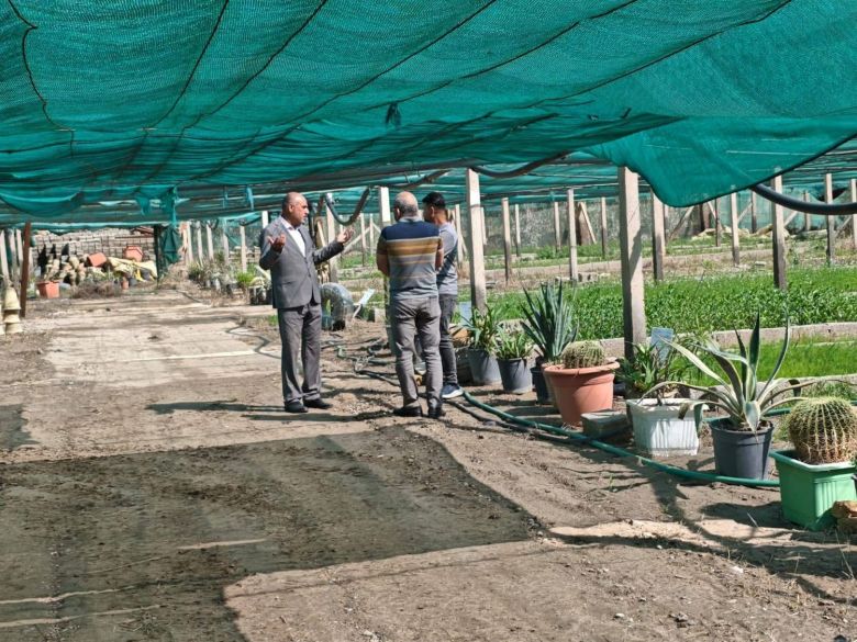 استمرار تطوير البساتين والمشاتل في كربلاء لدعم إنتاج التمور والفواكه