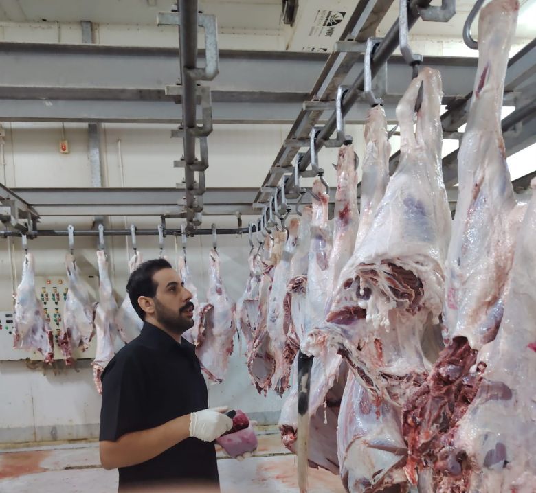 كربلاء: حملات ضد الجزر العشوائي وإنتاج وفير للحوم تجاوز 16 الف طن