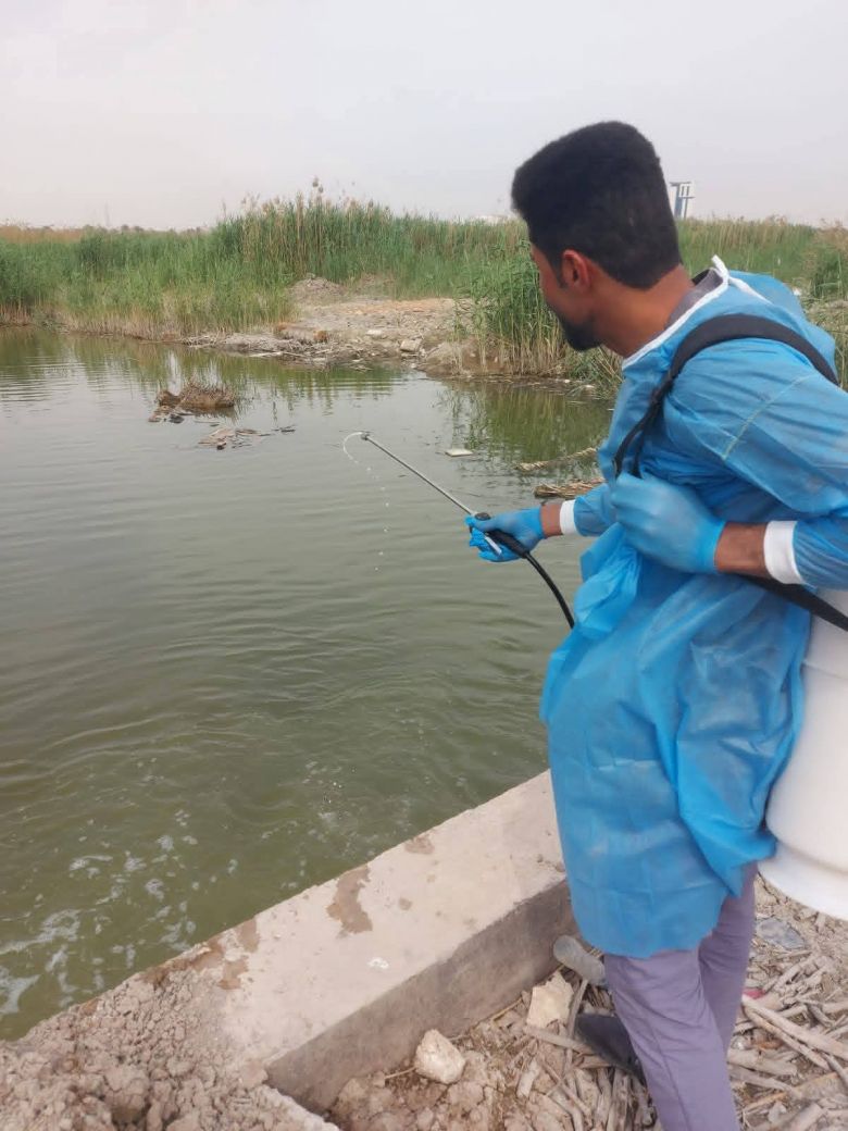 صحة كربلاء تطلق الحملة الربيعية لرش المبازل والمستنقعات لمكافحة نواقل الأمراض