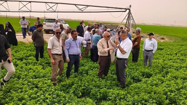 كربلاء تتوسع بالمحاصيل العلفية لدعم الثروة الحيوانية